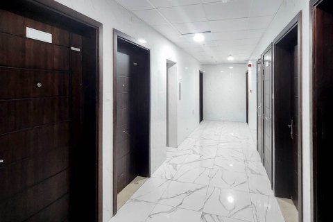 Edificio en venta en Al Sharq, Sharjah, EAU 3567.48 m2 № 749163 - foto 3