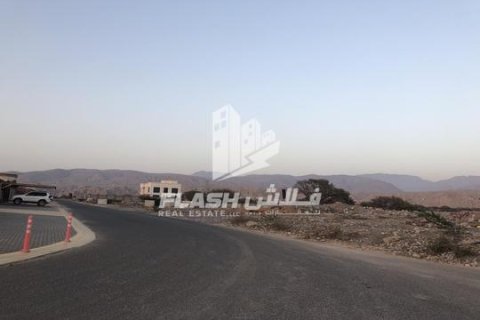 Seih Al Harf, Ras Al Khaimah, UAE의 판매용 토지 900제곱미터 번호 730732 - 사진 9