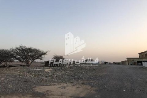 Seih Al Harf, Ras Al Khaimah, UAE의 판매용 토지 900제곱미터 번호 730732 - 사진 2