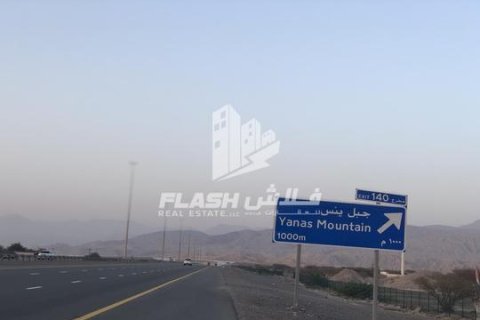 Seih Al Harf, Ras Al Khaimah, UAE의 판매용 토지 900제곱미터 번호 730732 - 사진 3