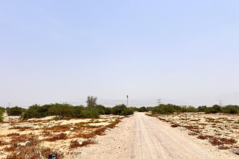 Купить земельный участок в Al Kharran, Рас-эль-Хайма, ОАЭ 743м2, № 730727 - фото 15