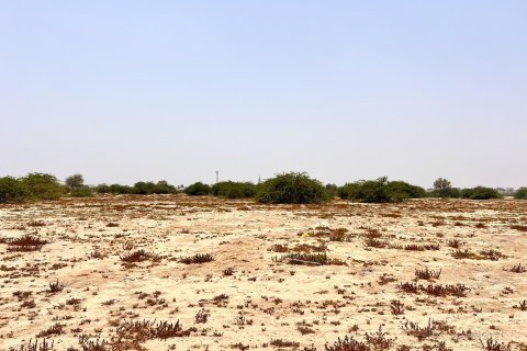 Купить земельный участок в Al Kharran, Рас-эль-Хайма, ОАЭ 743м2, № 730727 - фото 8