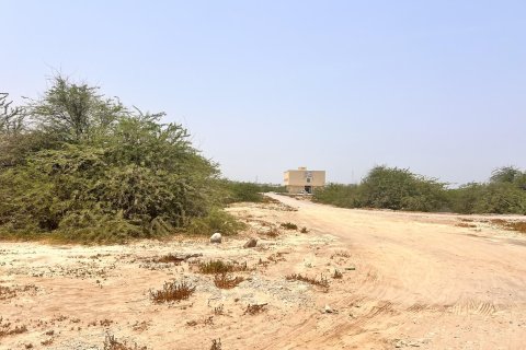 Купить земельный участок в Al Kharran, Рас-эль-Хайма, ОАЭ 743м2, № 730727 - фото 7