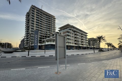 آپارتمان برای فروش در  Mina Rashid، Dubai، امارات متحده عربی  2 خوابه ، 123 متر مربع ، شماره 704256 - تصویر 24