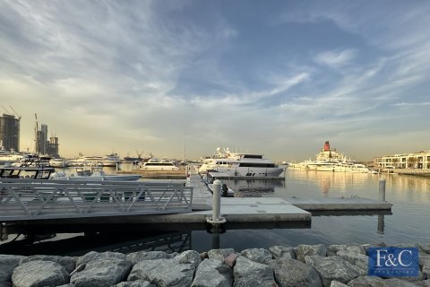 آپارتمان برای فروش در  Mina Rashid، Dubai، امارات متحده عربی  2 خوابه ، 123 متر مربع ، شماره 704256 - تصویر 22