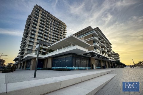 آپارتمان برای فروش در  Mina Rashid، Dubai، امارات متحده عربی  2 خوابه ، 123 متر مربع ، شماره 704256 - تصویر 23