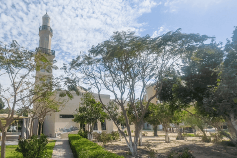 Discovery Gardens, Dubai, संयुक्त अरब अमीरात में अपार्टमेंट, 49 वर्ग मीटर, संख्या 738738 - फ़ोटो 5