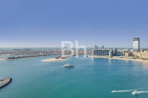 آپارتمان برای اجاره در Dubai Harbour، Dubai، امارات متحده عربی 3 خوابه ، 180 متر مربع ، شماره 643365 - تصویر 13
