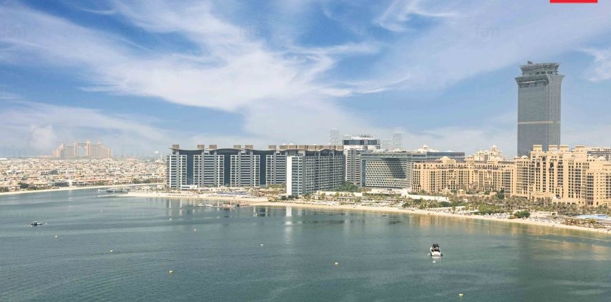 Dubai Harbour, Dubai, संयुक्त अरब अमीरात में अपार्टमेंट, 1 बेडरूम, 72.4 वर्ग मीटर, संख्या 641632