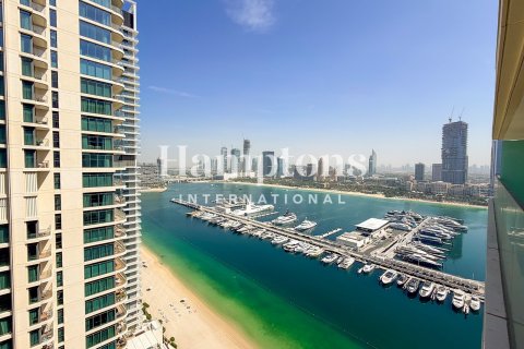 Dubai Harbour、Dubai、UAE にあるマンションの賃貸物件 1ベッドルーム、76.83078100 m2、No699564 - 写真 14