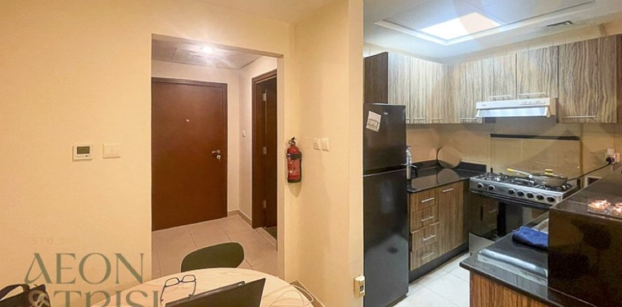 דירה ב Downtown Dubai (Downtown Burj Dubai), Dubai, איחוד האמירויות 999 חדרי שינה, 41 מ"ר מספר 732014