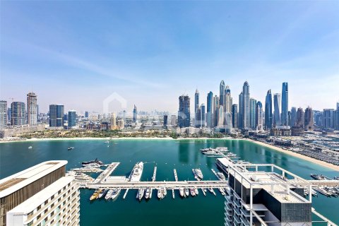 Dubai Harbour、Dubai、UAE にあるマンション販売中 2ベッドルーム、134 m2、No706512 - 写真 22