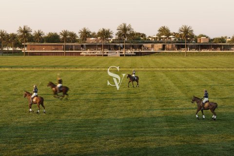 阿联酋 Dubai Dubai Investment Park 待售 : 5 卧, 951 平方米 , 编号657952 - 照片 16