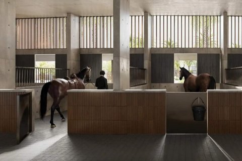 Vila v Chevalia Estate 2 v Dubai, SAE 5 ložnice, 458.21 m² Č.: 635217 - fotografie 2