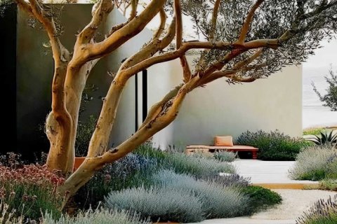 Müüa villa asukohaga The Valley, Dubai, AÜE: 4 magamistoaga, 565 m² Nr 687754 - pilt 4