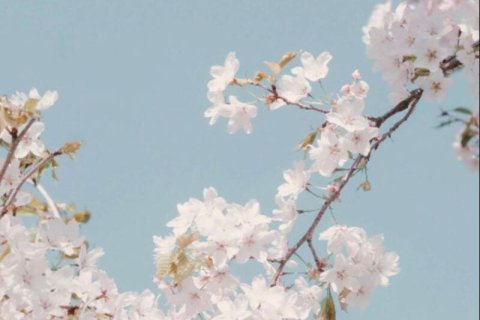 Apartament na sprzedaż w Falcon City of Wonders, Dubai, ZEA 1 sypialnia, 76 mkw., nr 687752 - zdjęcie 4