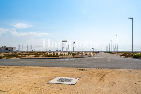 Land zur Miete in Jebel Ali, Dubai, VAE 1202.62933500 m2 Nr. 660712 - Foto 9