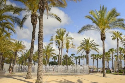 阿联酋 Sharjah 待售 : 4 卧, 320 平方米 , 编号642668 - 照片 13