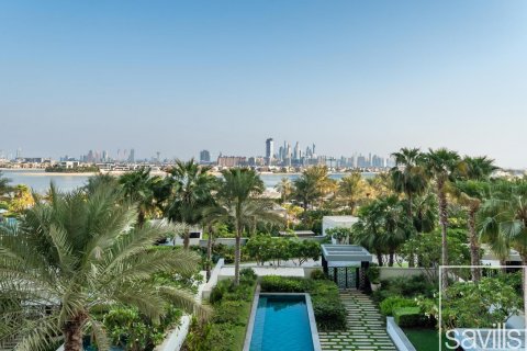 阿联酋 Dubai Palm Jumeirah 待售 : 3 卧, 338 平方米 , 编号638035 - 照片 2