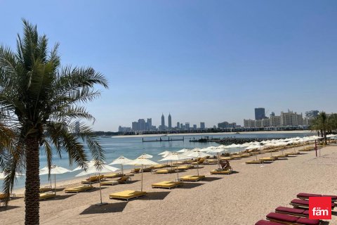 شقة للإيجار في نخلة جميرا، دبي، الإمارات العربية المتحدة 3 غرفة نوم ، 222.8 متر مربع ، رقم 711671 - صورة 13