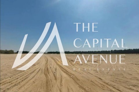 Müüa maa asukohaga Mohamed Bin Zayed City, Abu Dhabi, AÜE: 3836 m² Nr 652862 - pilt 5