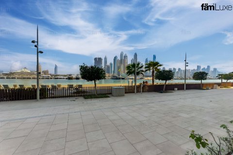 Apartament do wynajęcia w Dubai Harbour, Dubai, ZEA 3 sypialnie, 189.6 mkw., nr 644875 - zdjęcie 15