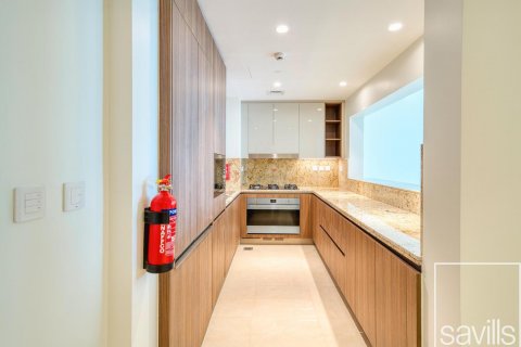 Apartmán v Downtown Dubai (Downtown Burj Dubai), SAE 3 spálne, 203 m2 č. 641032 - Fotografia 17