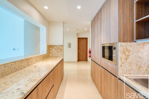 Apartmán v Downtown Dubai (Downtown Burj Dubai), SAE 3 spálne, 203 m2 č. 641032 - Fotografia 19