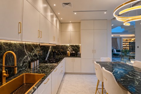 Huvila Al Barari, Dubai, Arabiemiraatit 4 makuuhuonetta, 616.6 m2 № 764296 - kuva 5