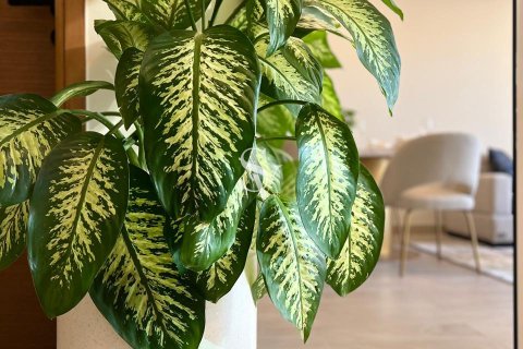 آپارتمان برای اجاره در Arjan، Dubai، امارات متحده عربی 1 خوابه ، 72 متر مربع ، شماره 698734 - تصویر 4