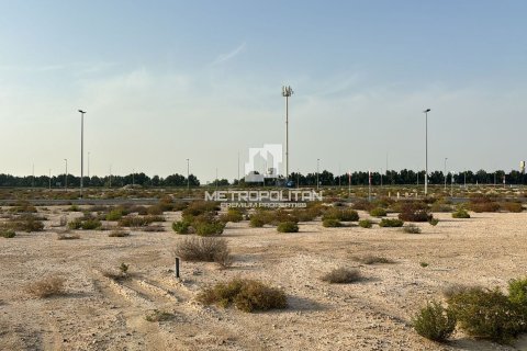 Terra para venda em Jebel Ali, Dubai, EAU 929 m2 № 663403 - foto 16