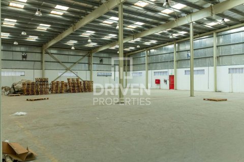 Jebel Ali, Dubai, UAE의 판매용 창고 2759.78제곱미터 번호 747063 - 사진 10