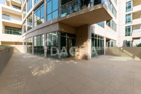 Lakás itt: The Views, Dubai, EAE, 2 hálószoba, 234 m², azonosító: 766055 - fénykép 21