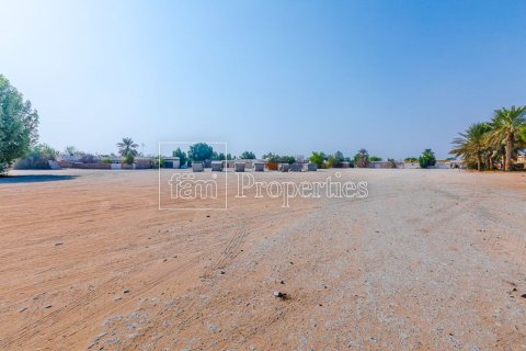 Lupain sa Al Wasl, Dubai, UAE 930.3 sq.m. № 712803 - larawan 13