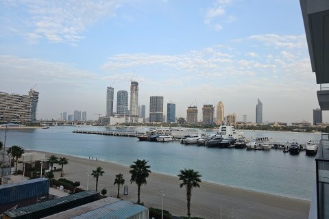 Dubai Harbour, Dubai, संयुक्त अरब अमीरात में अपार्टमेंट, 1 बेडरूम, 74.9997 वर्ग मीटर, संख्या 699470 - फ़ोटो 19