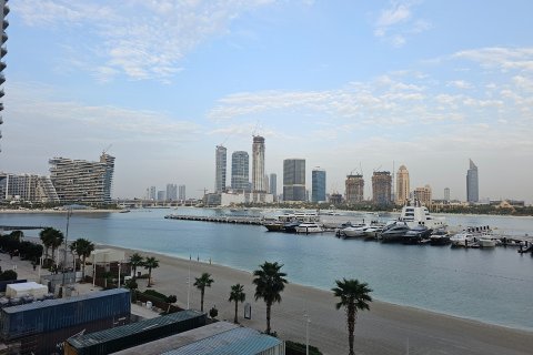 Dubai Harbour, Dubai, संयुक्त अरब अमीरात में अपार्टमेंट, 1 बेडरूम, 74.9997 वर्ग मीटर, संख्या 699470 - फ़ोटो 16