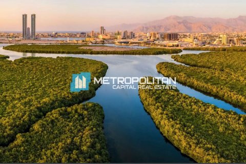 Apartemen di Mina Al Arab, Ras Al Khaimah, UEA 45.2 m2 nomor 630067 - foto 12