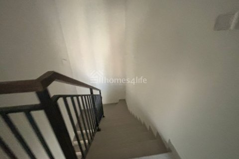 Stadthaus zur Miete in Dubai Land, Dubai, VAE 3 Schlafzimmer, 161 m2 Nr. 686324 - Foto 23