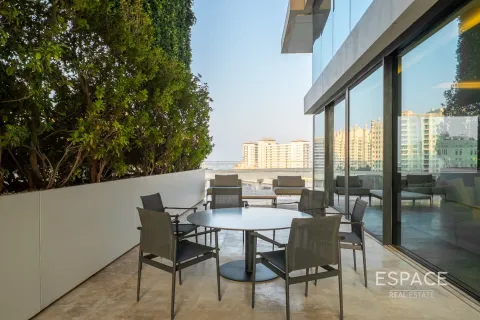 דופלקס למכירה ב Palm Jumeirah, Dubai, איחוד האמירויות  4 חדרי שינה, 589 מ"ר, מספר 661005 - תמונה 20