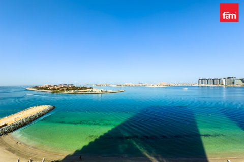 Dubai Harbour, Dubai, संयुक्त अरब अमीरात में अपार्टमेंट, 1 बेडरूम, 81.4 वर्ग मीटर, संख्या 641350 - फ़ोटो 16
