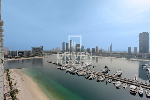 Διαμέρισμα σε Dubai Harbour, Dubai, ΗΑΕ 2 υπνοδωμάτια, 115.66 τ.μ. Αρ. 746990 - φωτογραφία 13