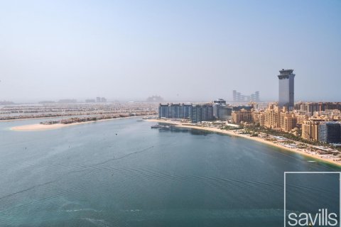 阿联酋 Dubai Dubai Harbour 待售 : 1 卧, 74 平方米 , 编号641008 - 照片 18