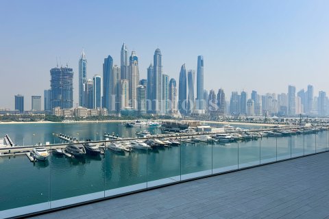 Снять в аренду квартиру в Dubai Harbour, Дубай, ОАЭ 1 спальня, 67.81919000м2, № 650868 - фото 3