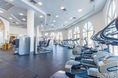 阿联酋 Dubai Palm Jumeirah 待租 : 2 卧, 185 平方米 , 编号647427 - 照片 10