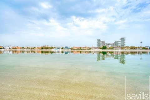 阿联酋 Dubai Palm Jumeirah 待租 : 6 卧, 1244.81 平方米 , 编号747478 - 照片 9