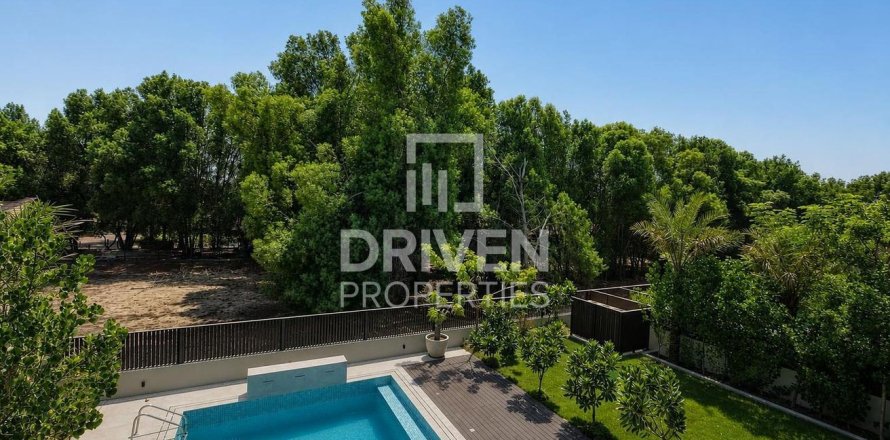 Vila u gradu Nadd Al Sheba, Dubai, UAE 1175.97 m2 Br. 764906
