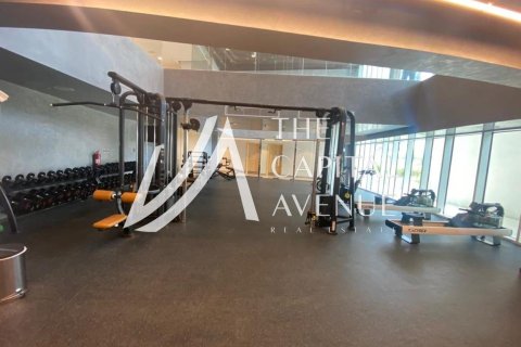 Byt na Yas Island, Abu Dhabi, SAE 1 pokoj, 49 m² Č.: 681353 - fotografie 14