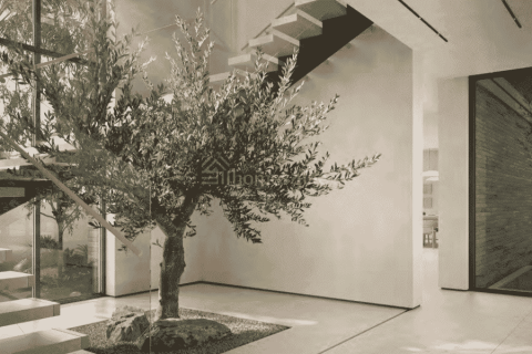 Vila v Dubai Land, SAE 3 spálne, 186 m2 č. 690463 - Fotografia 8