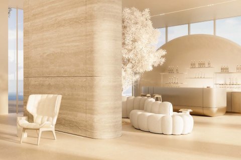 آپارتمان برای فروش در  Barsha Heights (Tecom)، Dubai، امارات متحده عربی  2 خوابه ، 330.37 متر مربع ، شماره 749347 - تصویر 19