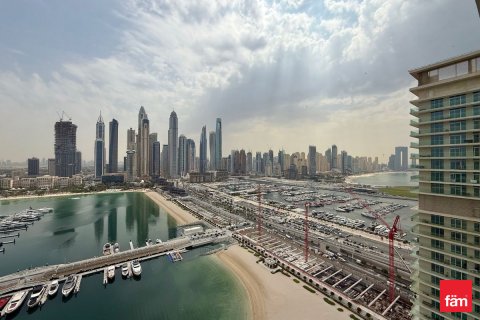 آپارتمان برای فروش در  Dubai Harbour، Dubai، امارات متحده عربی  3 خوابه ، 194.8 متر مربع ، شماره 640549 - تصویر 24